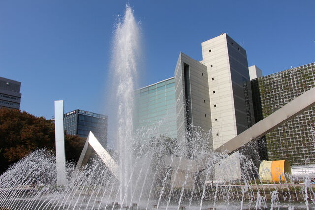 ファイル:MSDN2010.jpg