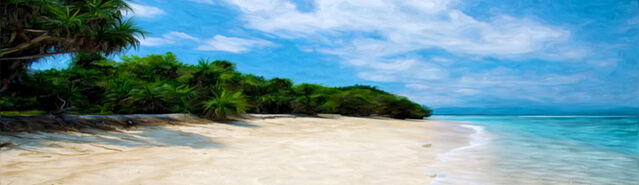 File:Banner---tropical-coast3.jpg
