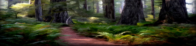 File:Evergreen Trail.png