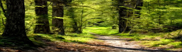 File:Initium ForestPath.jpg