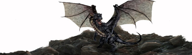 File:Initium BlackDragon.jpg