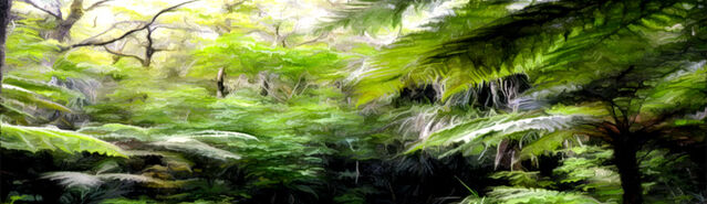 File:Initium DeadJungles.jpg