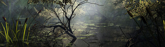 File:Banner---swamp.jpg