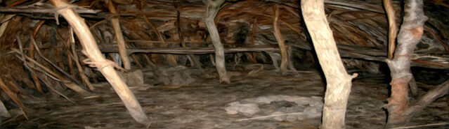 File:Banner---inside-hut1.jpg