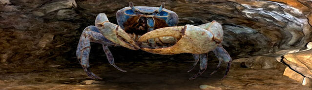 File:Npc-Enormous-Crab.jpg