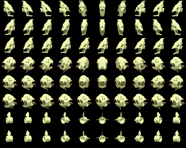File:Bilaterus.gif