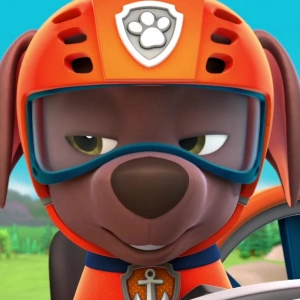 Image - Zuma (PAW Patrol).png | International Entertainment Project