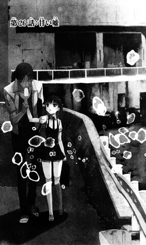 File:Chapter 26 Cover.jpg