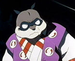Hachi