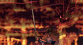 Thumbnail for version as of 20:23, February 8, 2010