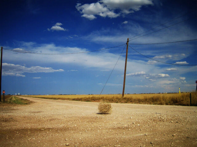 File:Tumbleweed.jpg