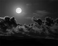 Thumbnail for version as of 06:21, April 7, 2013