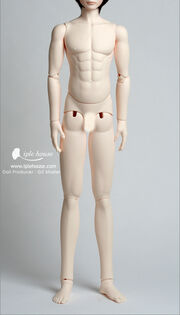 Yidbody-male-muscle