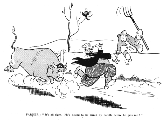 File:Kellybull.gif