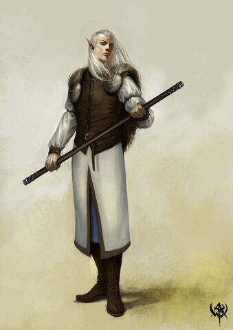 File:ElvenNoble.jpg