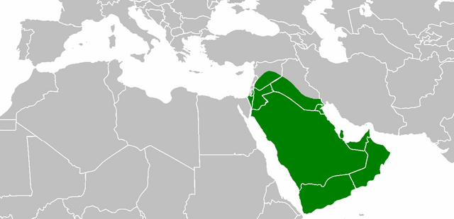 File:Abu bakr's reign.png
