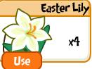 Easter Lily