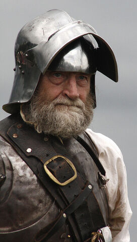 File:Meryn Sarwyck.jpg