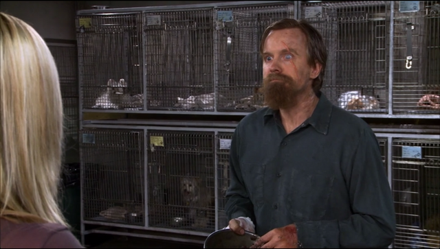File:801 Cricket at pound.png