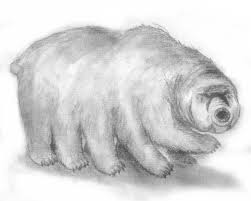 Хж