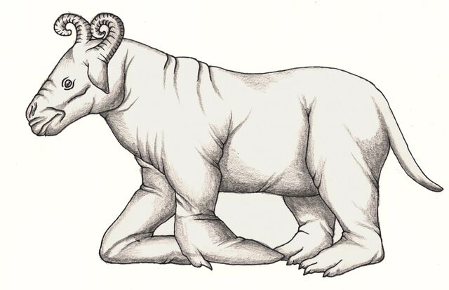 File:Hippo turtle ox.jpg
