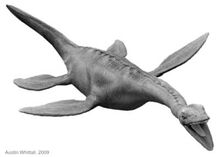 Plesiosaurr