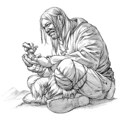 Image480