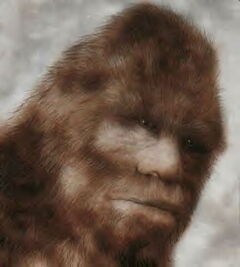 Sasquatch