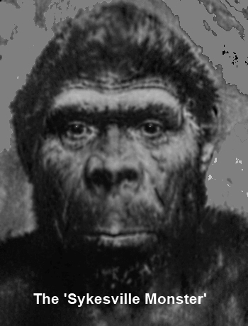 Sasquatch-sykesville2