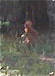 180px-05551307 n