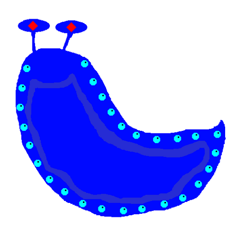 Datei:Negativschnecke.png