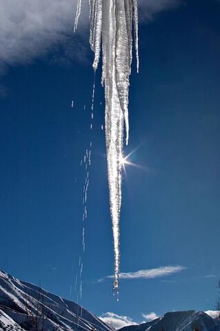 File:24809014 Icicle.jpg