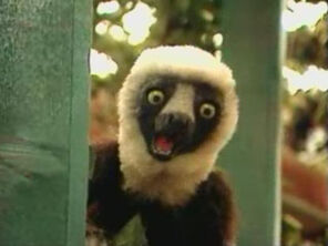 Zobooanimalkidsscreen2