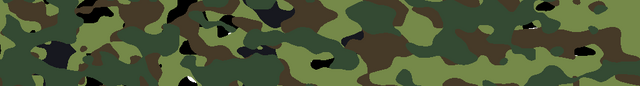 File:Wiki top bg.png