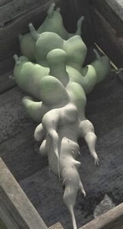 Dragon root.jpeg