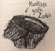 Gatkizadka.jpg