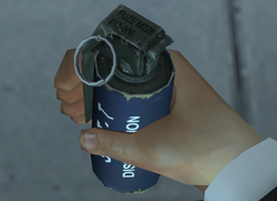 Flashbang grenade (Nightfire, PC)