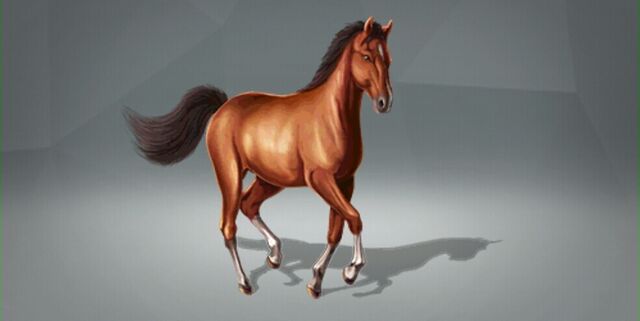 File:WoE - Thoroughbred.jpg