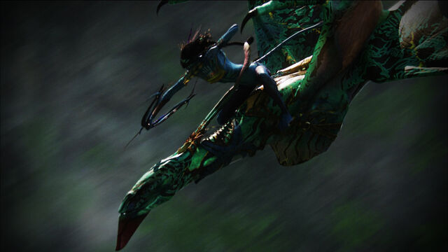 File:Neytiri On Ikran.jpg