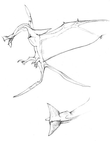 File:Avatar-leonopteryx-studies1.jpg