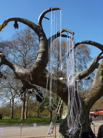 File:Avatar-1-event-gbr-tree-11.jpg