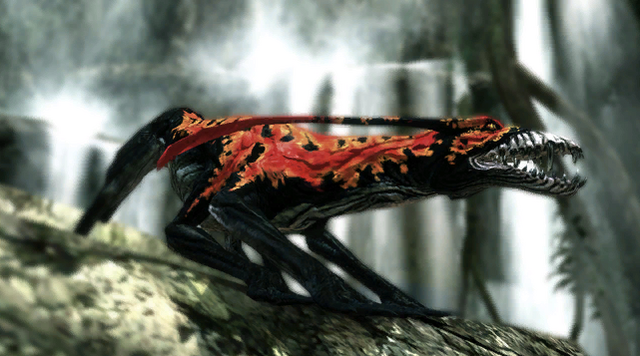 File:Galactonotus costatus.png