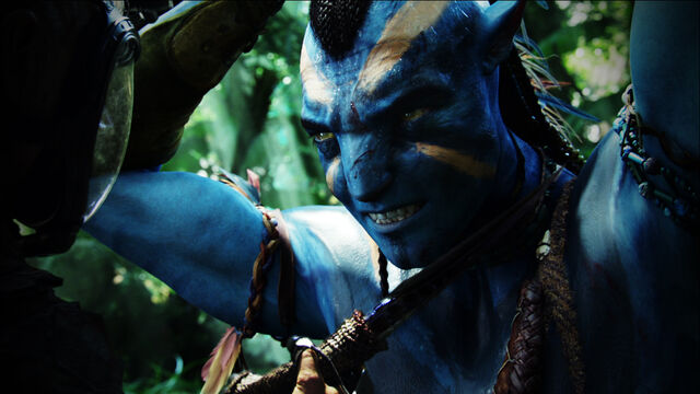 File:Jake Sully 4 HD.jpg