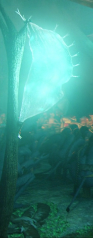 File:Bladderlantern2.png