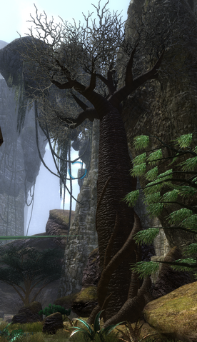 File:Unknownplant7.png