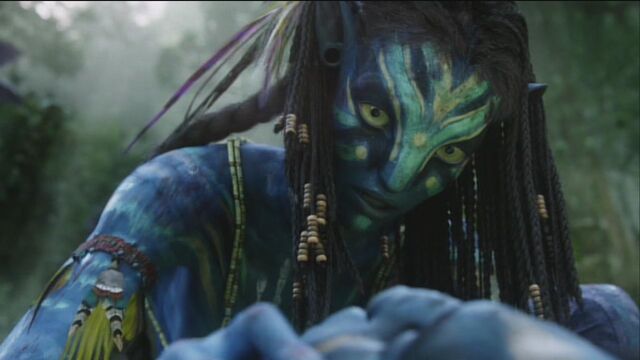 File:Neytiri protects Jake 4.jpg
