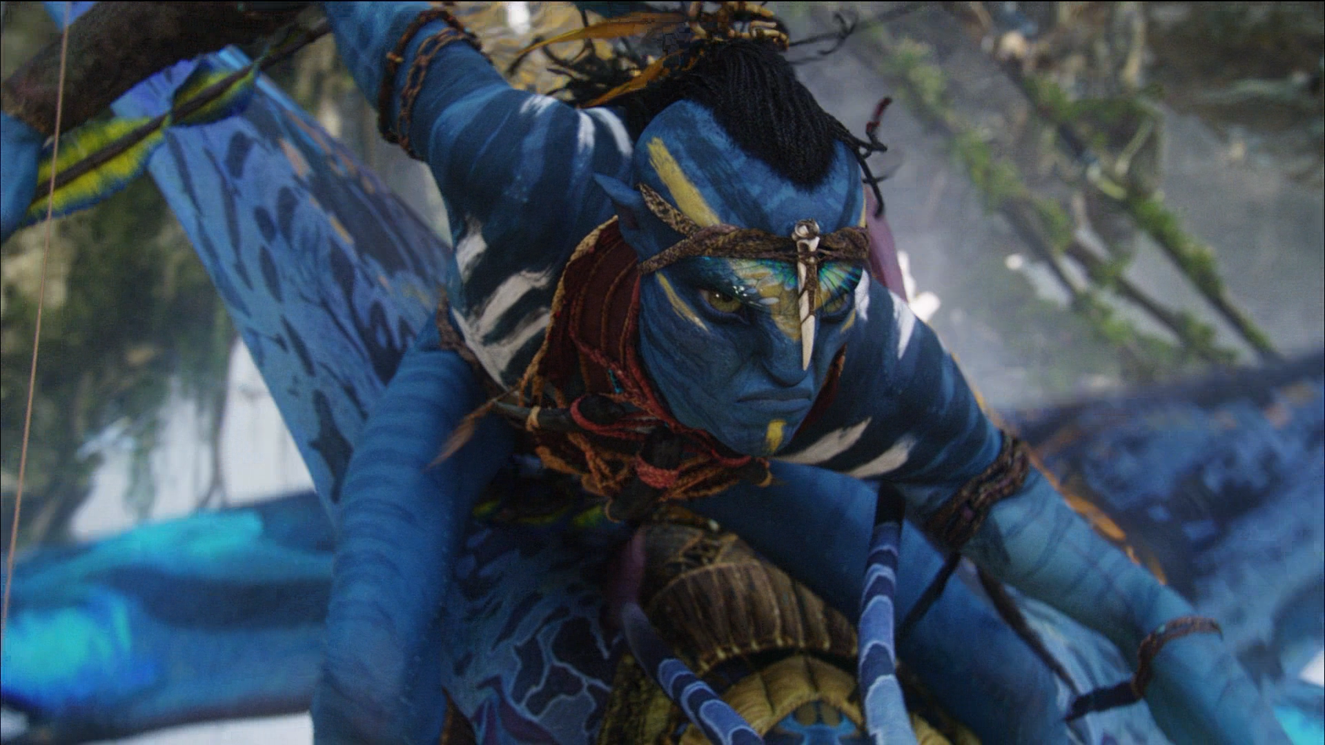 Image - Tsu'tey 5 HD.png | Avatar Wiki | FANDOM powered by Wikia