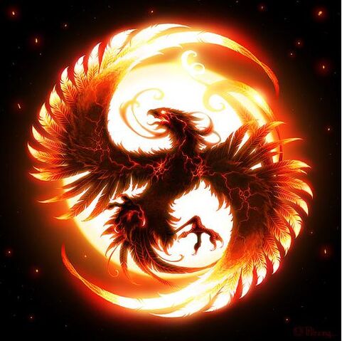 File:Firecirclephoenix.jpeg.jpg
