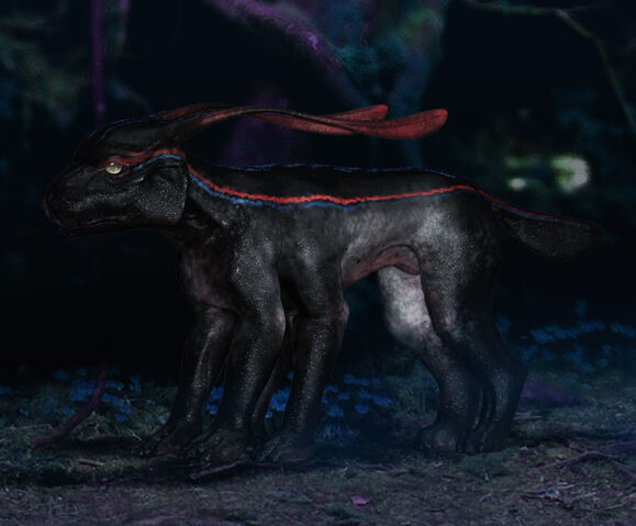 File:Viperwolfcub.jpg