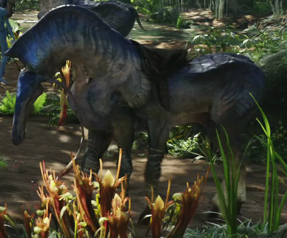 File:DIREHORSE.png